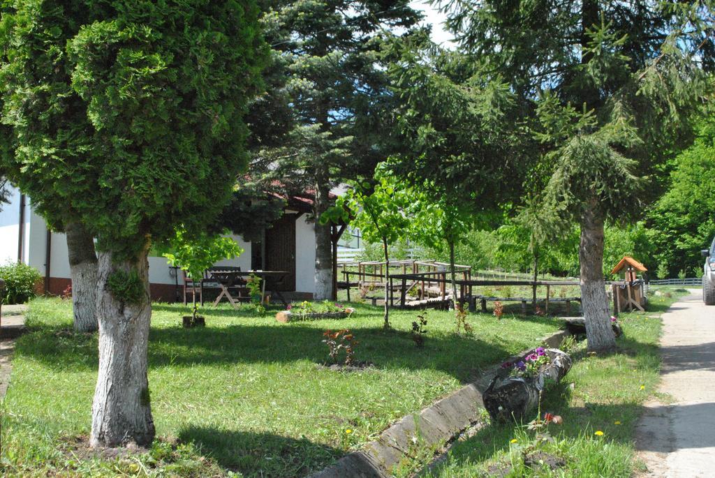 Activ Parc Hotel Negresti Bagian luar foto