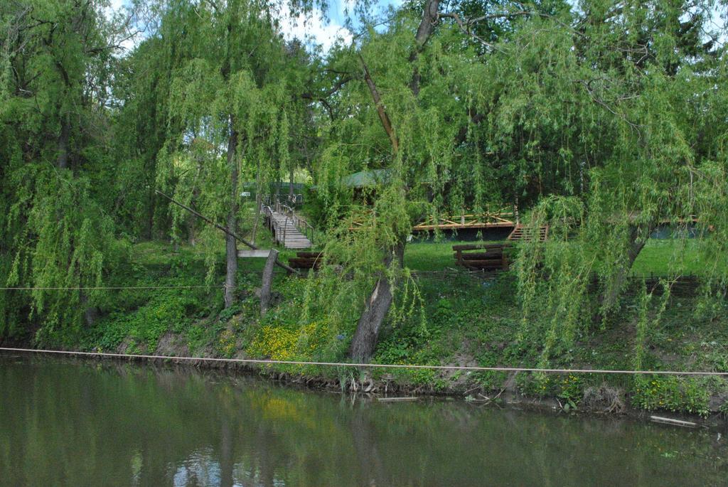 Activ Parc Hotel Negresti Bagian luar foto