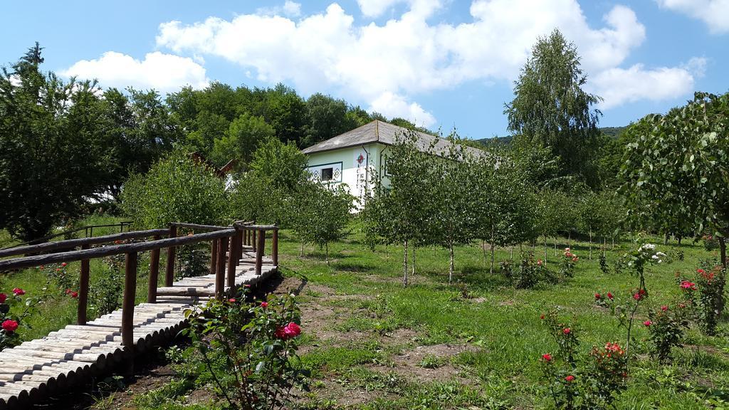 Activ Parc Hotel Negresti Bagian luar foto