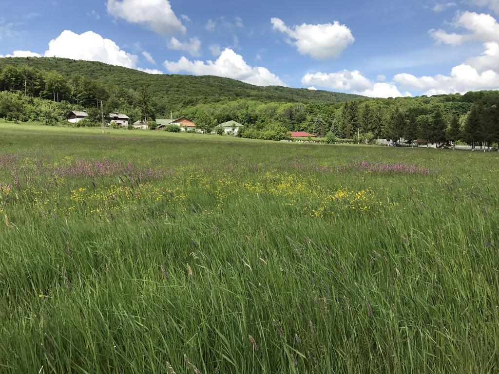 Activ Parc Hotel Negresti Bagian luar foto