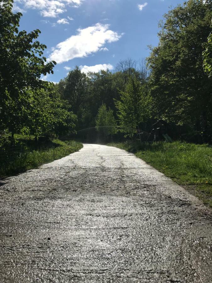 Activ Parc Hotel Negresti Bagian luar foto