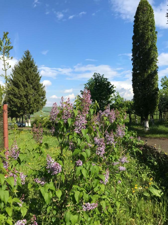 Activ Parc Hotel Negresti Bagian luar foto